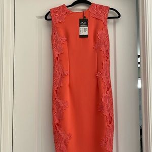 Bodycon Coral Dress